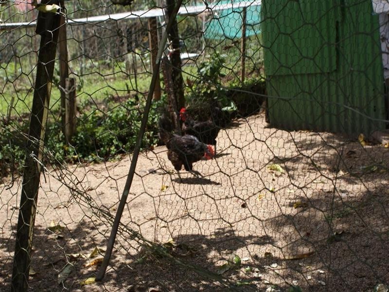 26 glasgow Street, El Arish QLD 4855