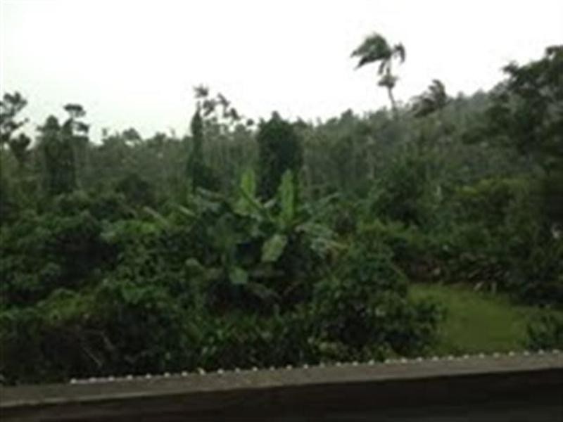 4 Morgano Street, Bingil Bay QLD 4852