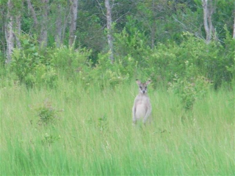 22-28 Midshipman Street, South Mission QLD 4852