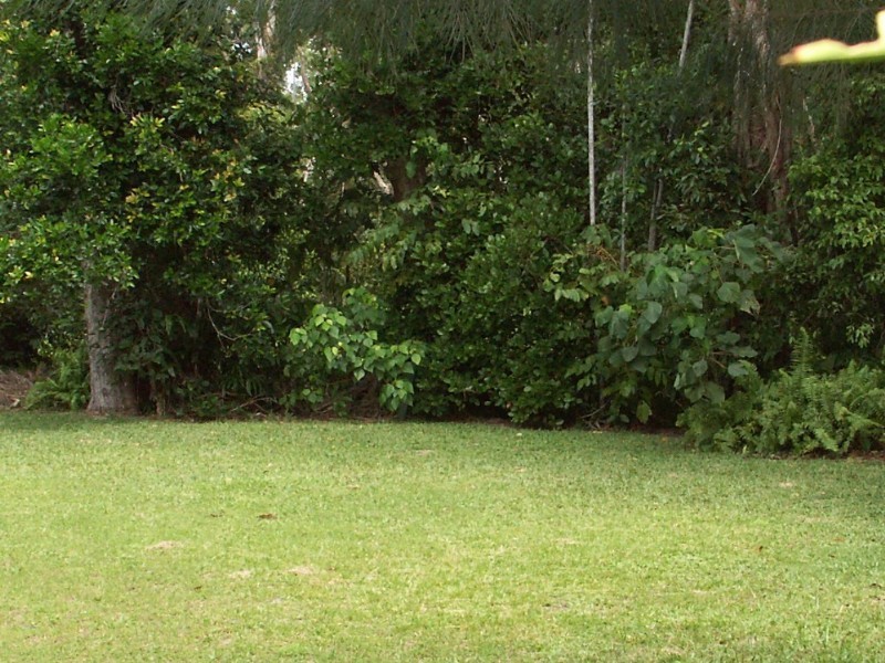 Mission Beach QLD 4852