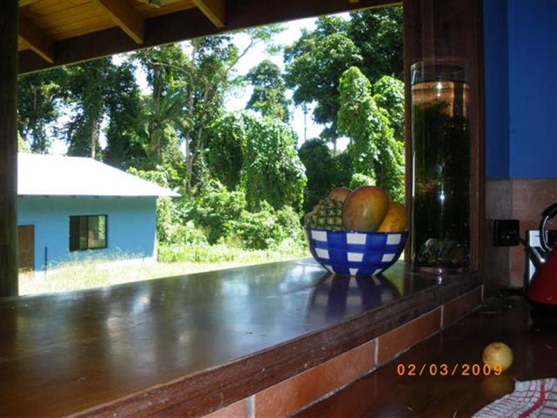5 Plantation Drive, Bingil Bay QLD 4852