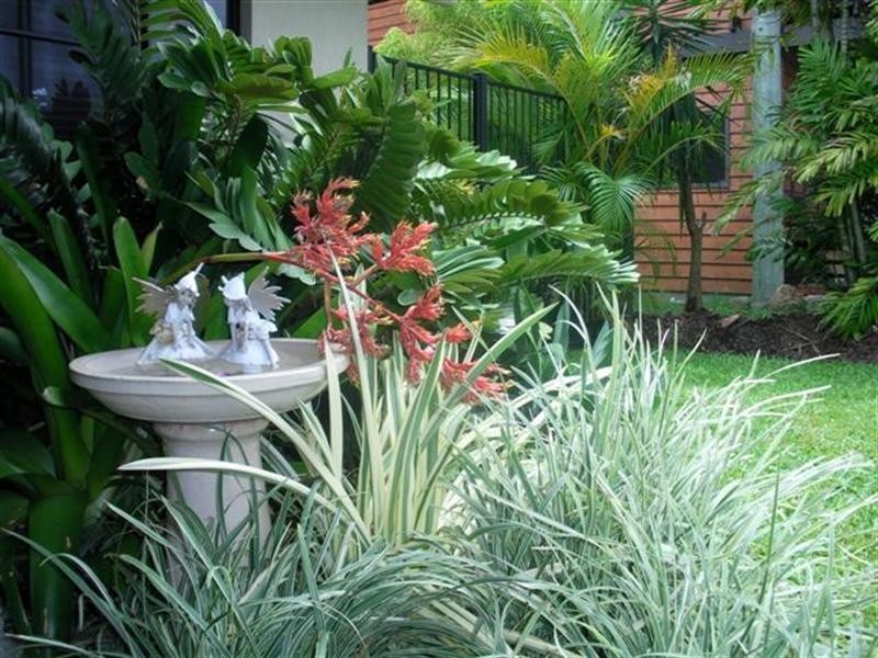 3 McNamara Street, Mission Beach QLD 4852