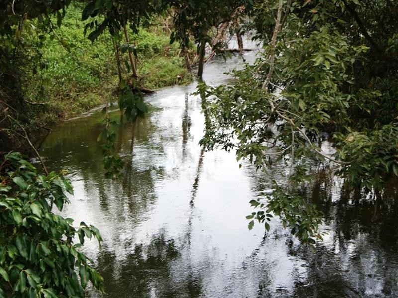 LOT 19 DARGIN Road, Mission Beach QLD 4852