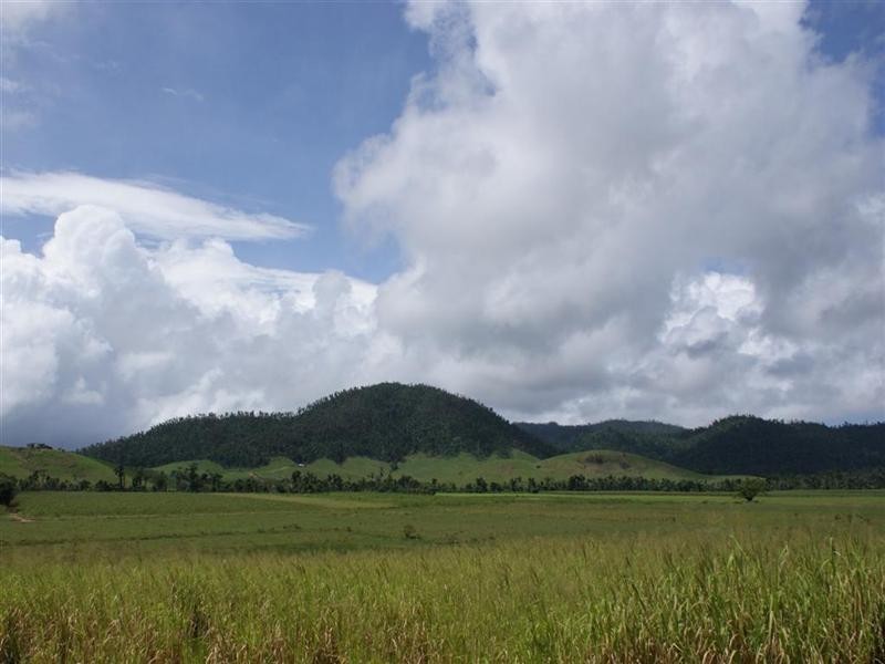 LOT 19 DARGIN Road, Mission Beach QLD 4852