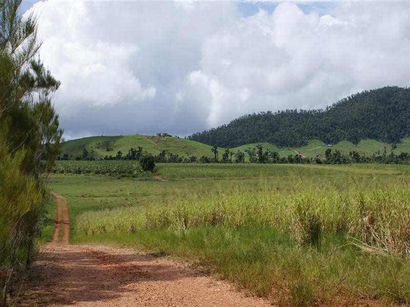 LOT 19 DARGIN Road, Mission Beach QLD 4852