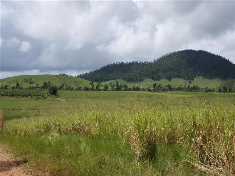 LOT 19 DARGIN Road, Mission Beach QLD 4852