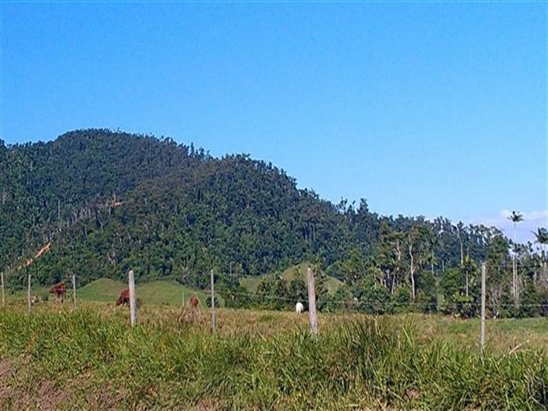 113 Midgereebar Road, Bingil Bay QLD 4852