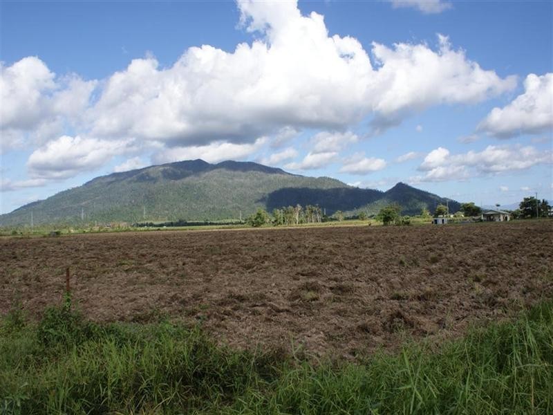 142 Old Tully Road, Tully QLD 4854