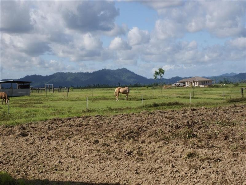 142 Old Tully Road, Tully QLD 4854