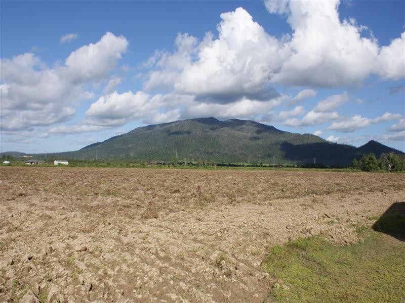142 Old Tully Road, Tully QLD 4854