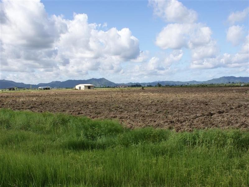 142 Old Tully Road, Tully QLD 4854