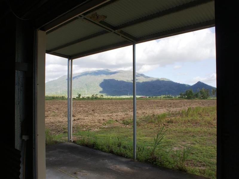 142 Old Tully Road, Tully QLD 4854