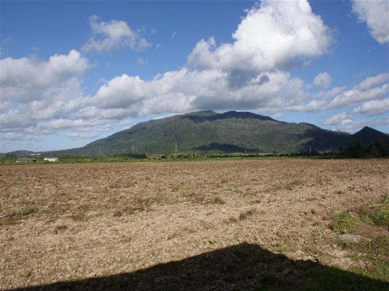 142 Old Tully Road, Tully QLD 4854