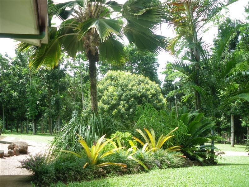 Mission Beach QLD 4852