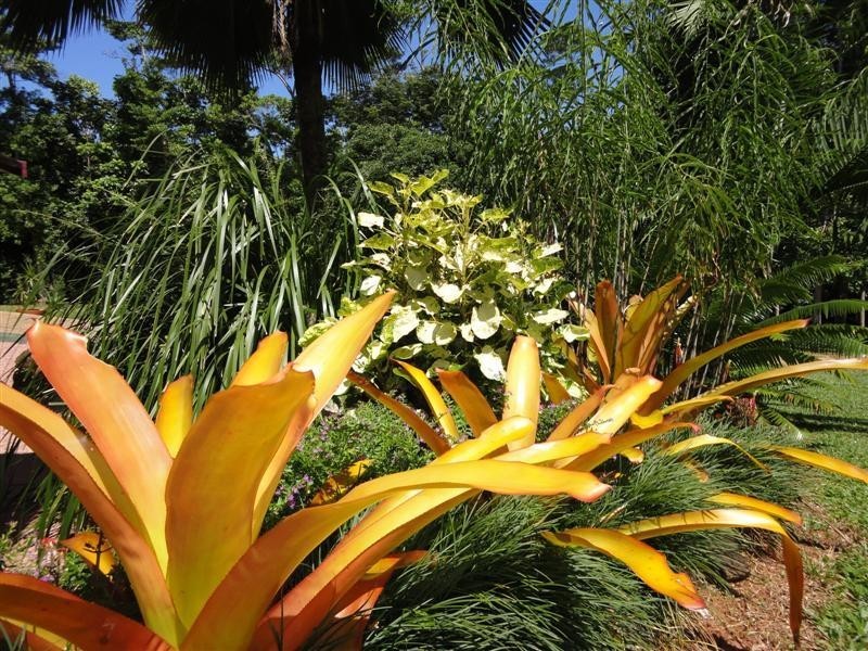 Mission Beach QLD 4852