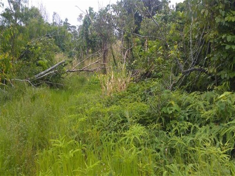 Lot 996 Pacific View Drive, Mission Beach QLD 4852