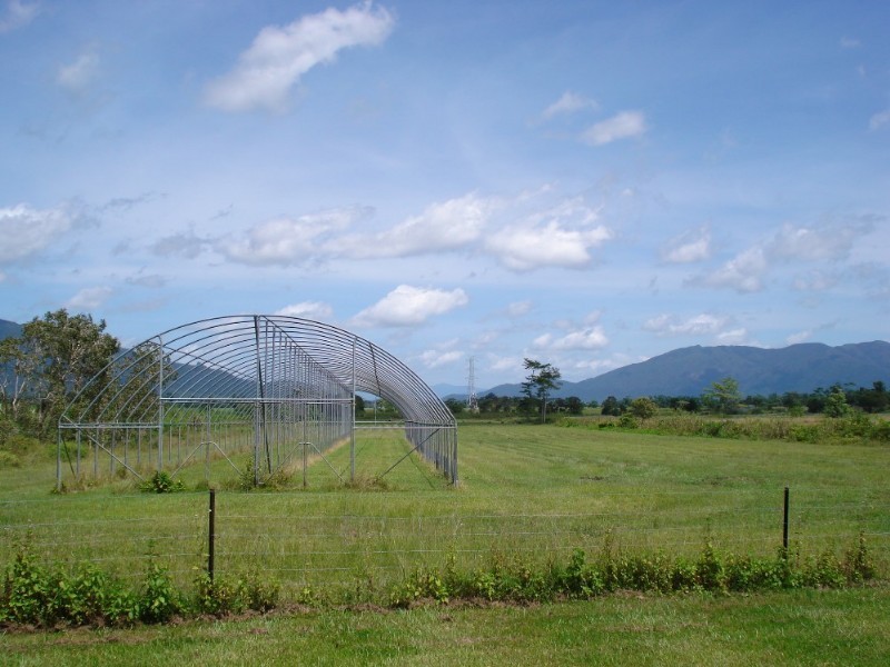 Mission Beach QLD 4852
