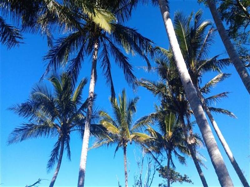 Mission Beach QLD 4852