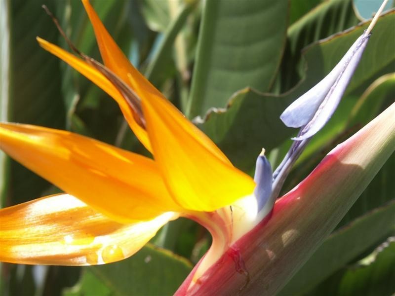 Lot 106 Rise@Mission, Mission Beach QLD 4852