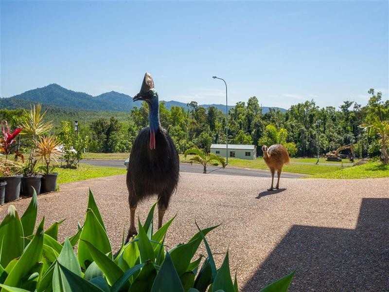 Mission Beach QLD 4852