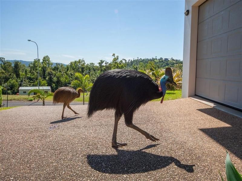 Mission Beach QLD 4852