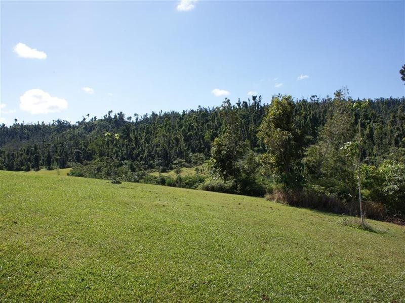 Mission Beach QLD 4852