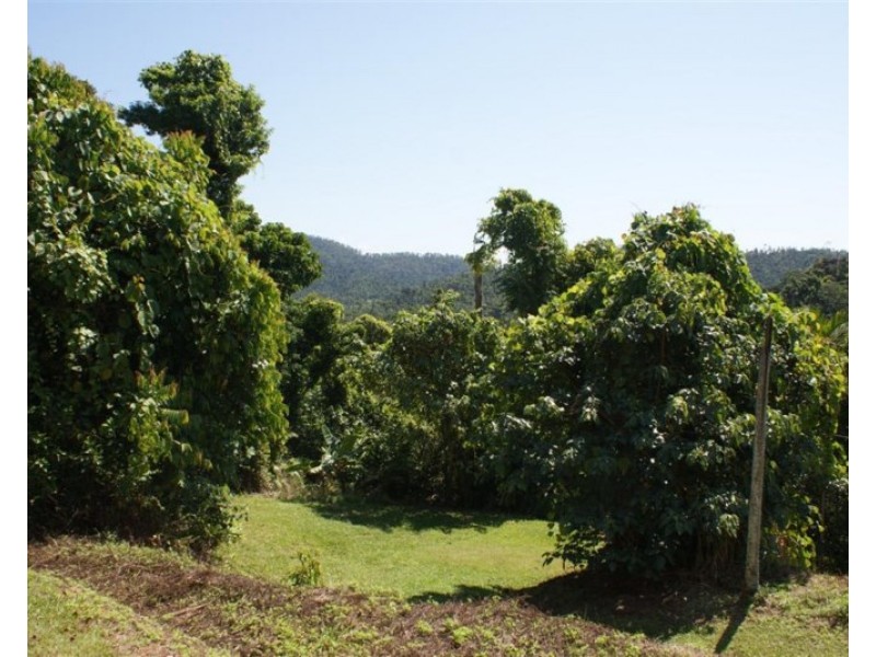 5/627 BINGIL BAY Road, Bingil Bay QLD 4852