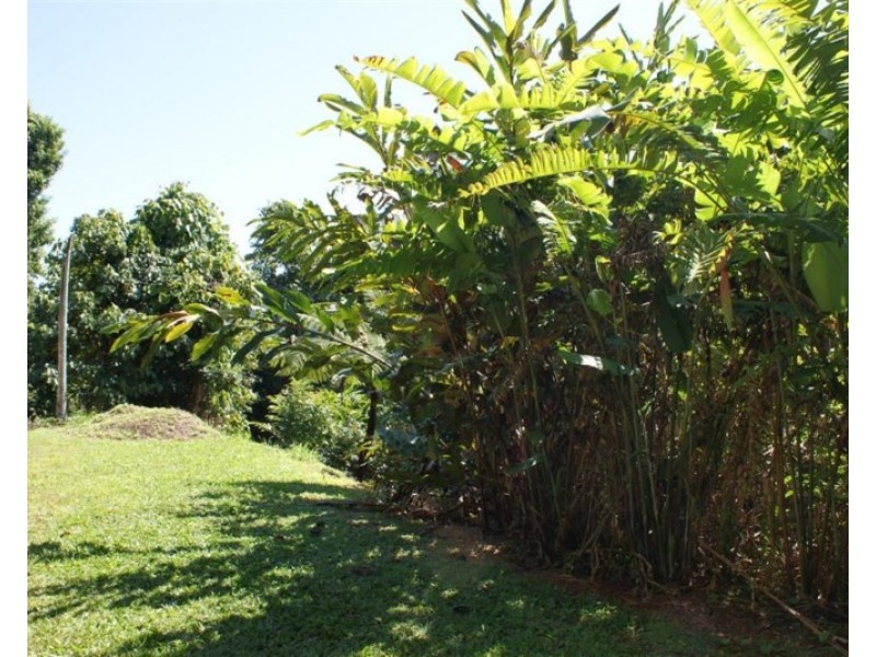 5/627 BINGIL BAY Road, Bingil Bay QLD 4852