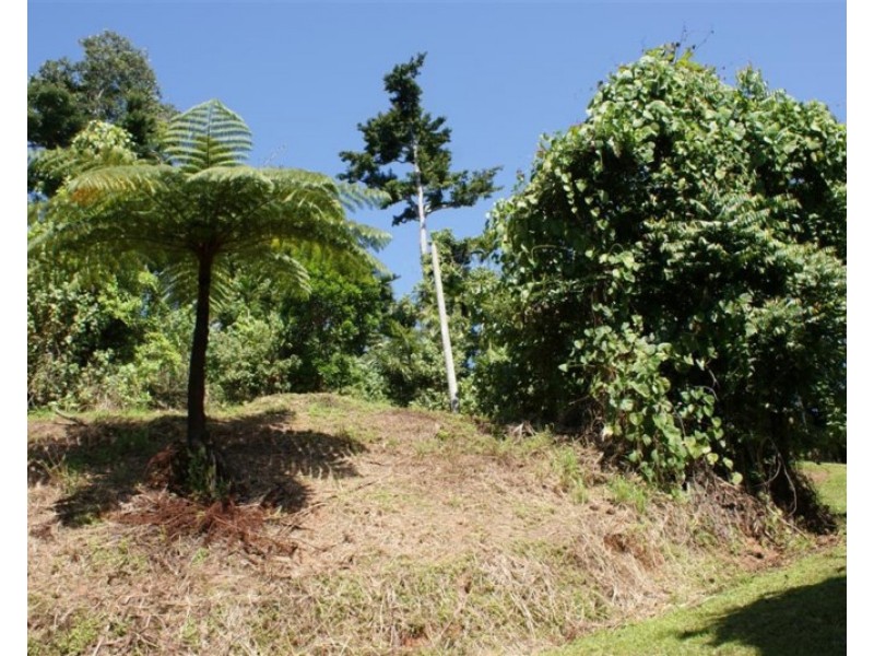 5/627 BINGIL BAY Road, Bingil Bay QLD 4852