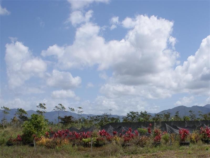 East Feluga QLD 4854