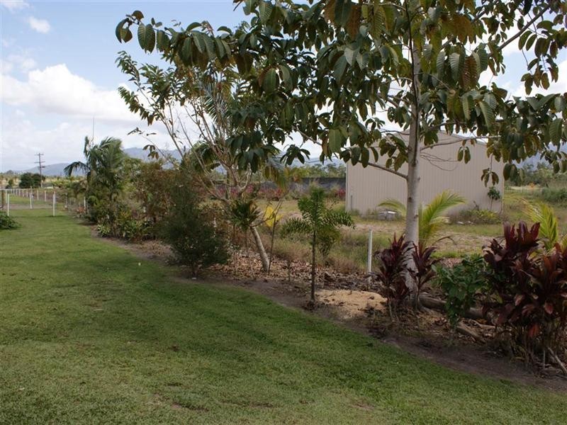 East Feluga QLD 4854