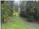 436 Bingil Bay Road, Mission Beach QLD 4852