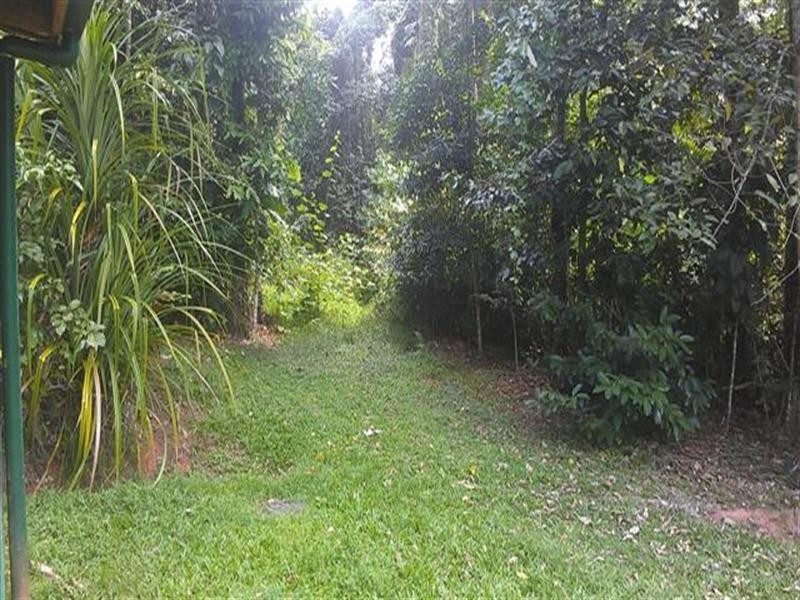 436 Bingil Bay Road, Mission Beach QLD 4852