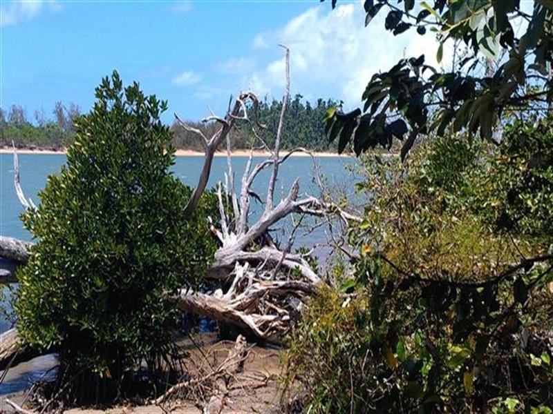 Lot 23 Fig Tree Beach Road, Mission Beach QLD 4852