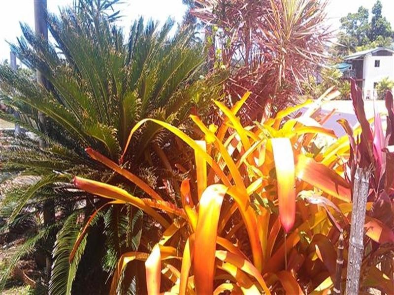 34 Seafarer Street, Mission Beach QLD 4852