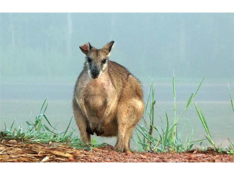 1/23 The Boulevard, South Mission QLD 4852