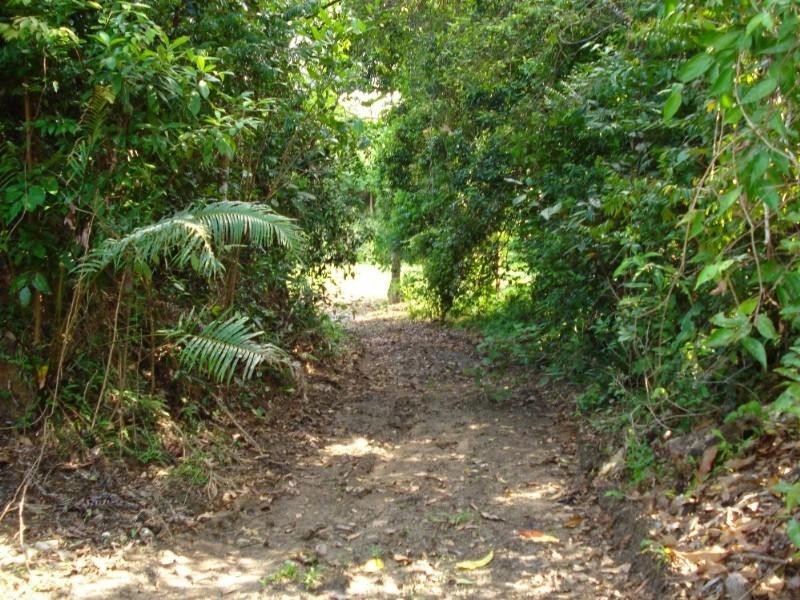Mission Beach QLD 4852