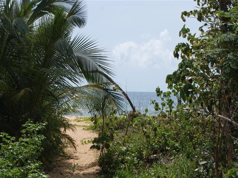37 Koda Street, Wongaling Beach QLD 4852