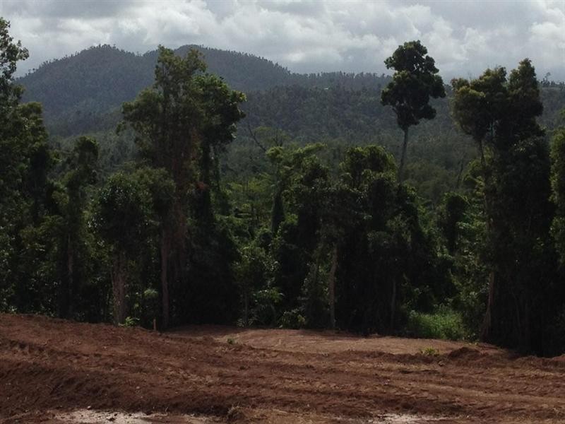 Lot 5 Garners Beach Road, Garners Beach QLD 4852