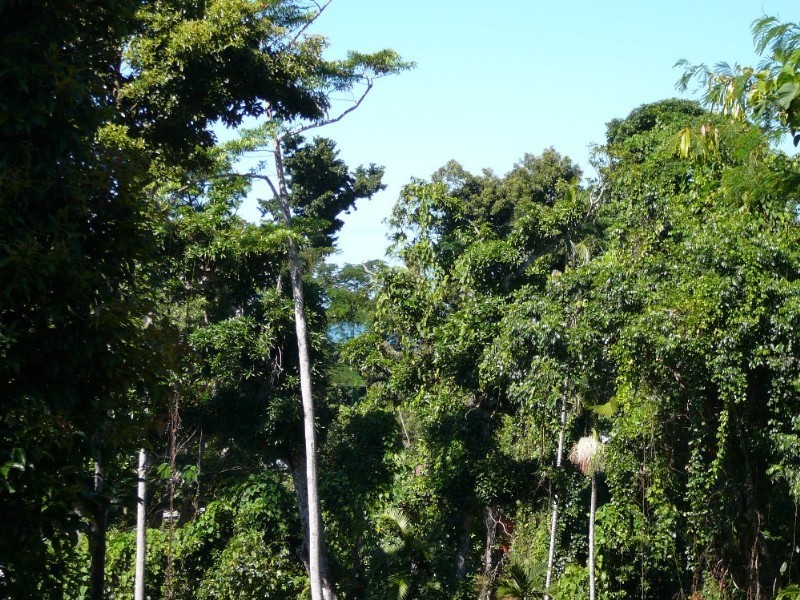 Mission Beach QLD 4852