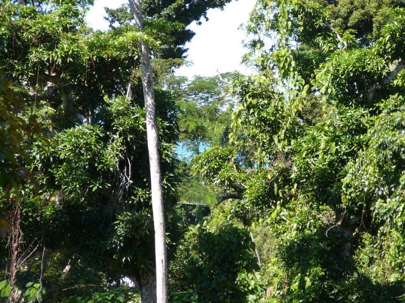 Mission Beach QLD 4852