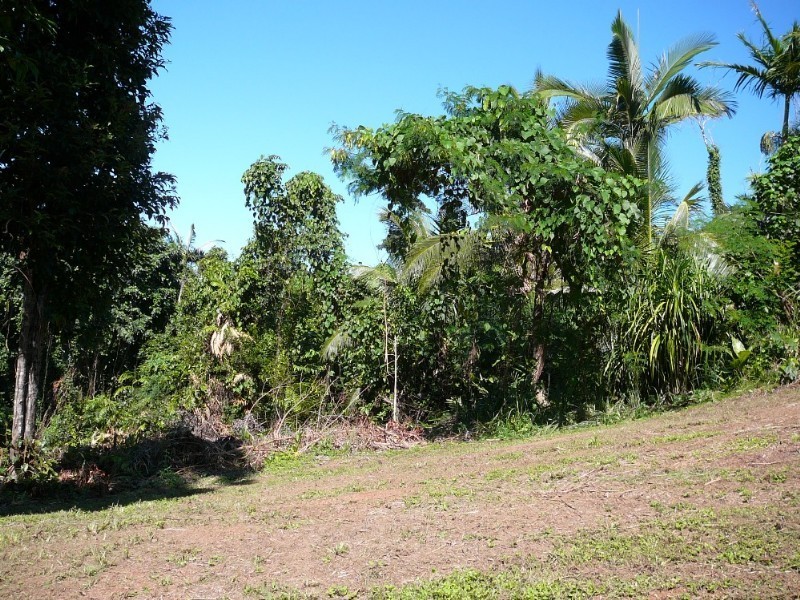 Mission Beach QLD 4852