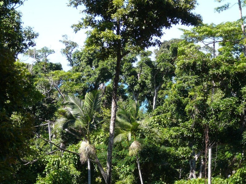 Mission Beach QLD 4852