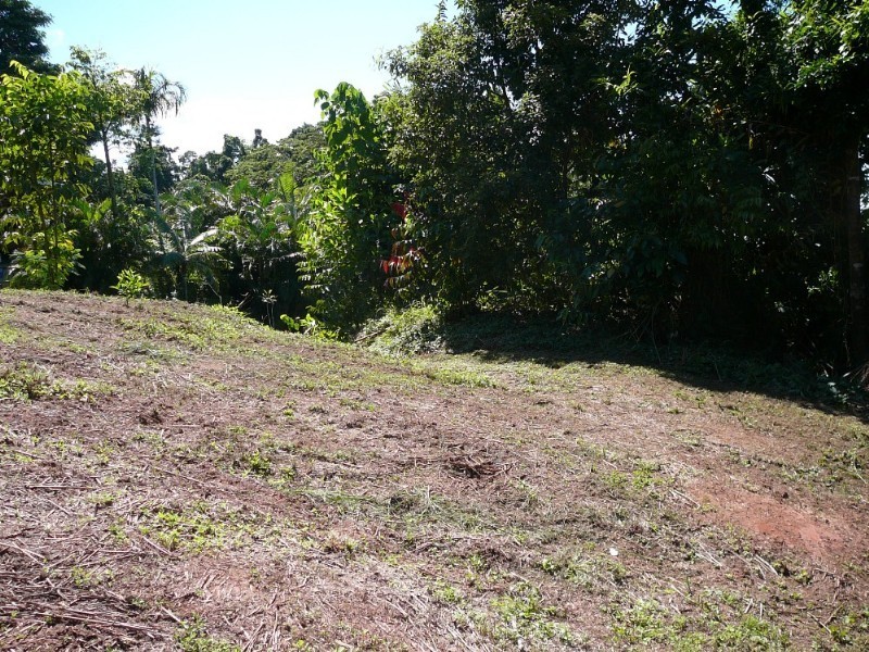 Mission Beach QLD 4852