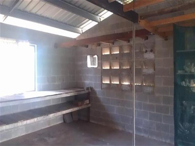 5 Inarlinga Road, Cowley Beach QLD 4871