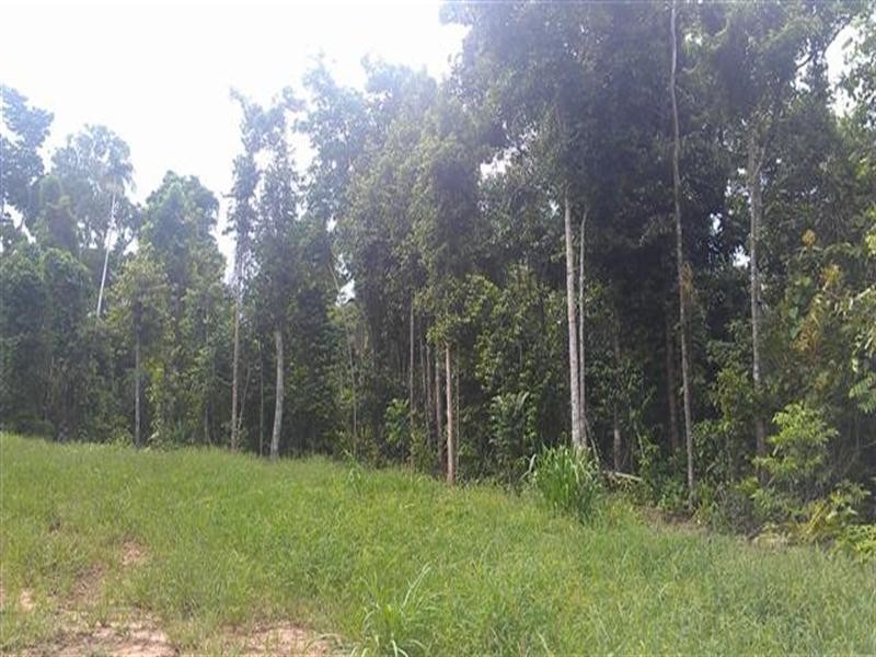 80 Cutten Street, Mission Beach QLD 4852