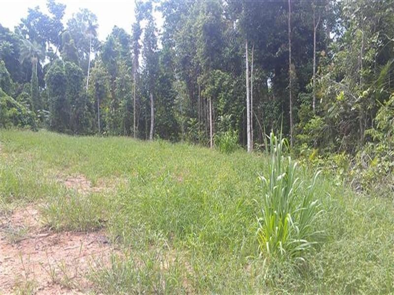 80 Cutten Street, Mission Beach QLD 4852