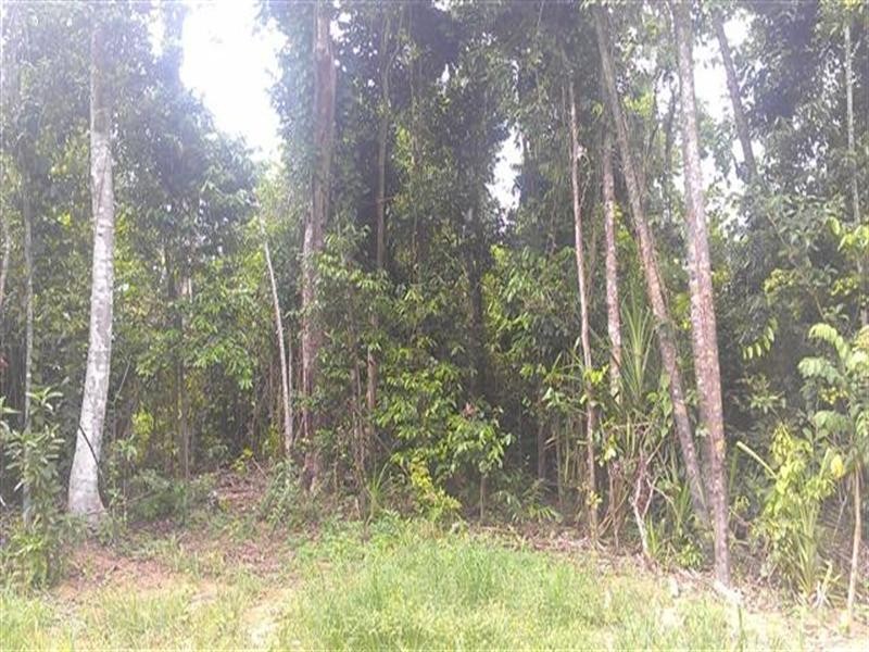 80 Cutten Street, Mission Beach QLD 4852