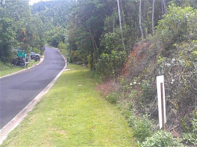 80 Cutten Street, Mission Beach QLD 4852