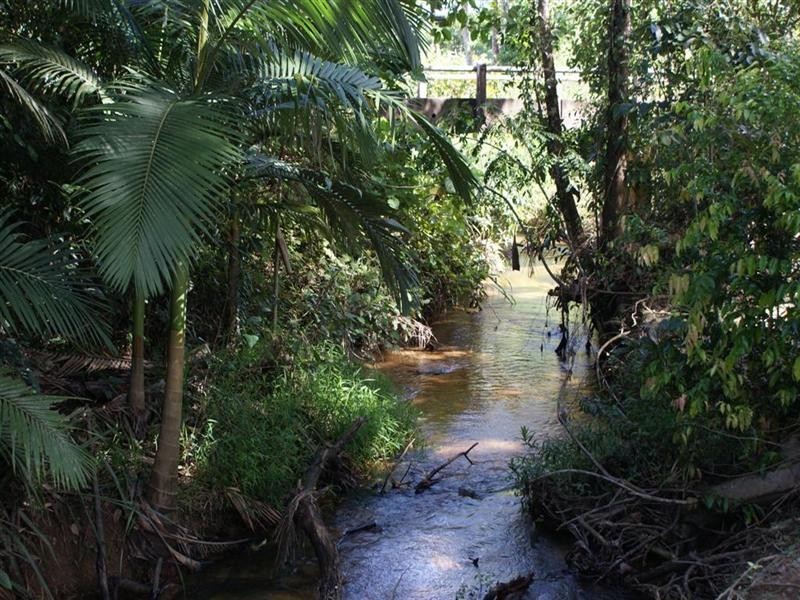 447 Bulgun Road, Tully QLD 4854
